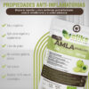 Comprimidos de AMLA (240) - Imagen 4