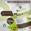 Comprimidos de AMLA (240) - Imagen 2